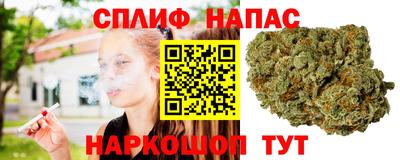 гидра Гусев