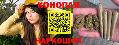 гидра Гусев