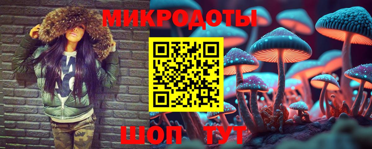 Галлюциногенные грибы Psilocybe  Вход с VPN  Орехово-Зуево 